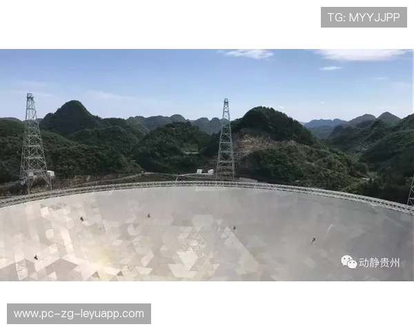 国家队是否推动建立稳定的地方联合观察系统？